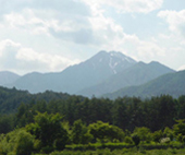 横山　実